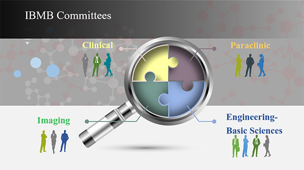 IBMB advisory committees