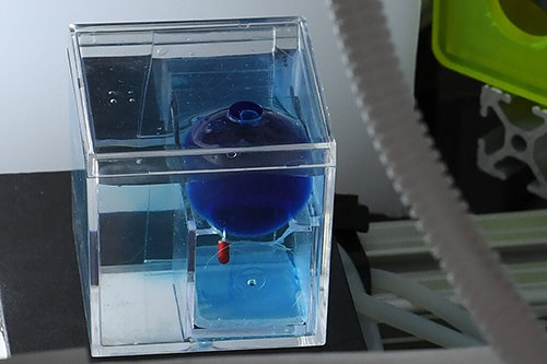 شکل 2: شبیه‌ سازی نشان می ‌دهد چگونه می توان از یک میکرو ربات کنترل از راه دور (با بدنه قرمز) برای سوراخ کردن کیست (که با توپ آبی نشان داده می شود) در مغز کودک استفاده کرد.
