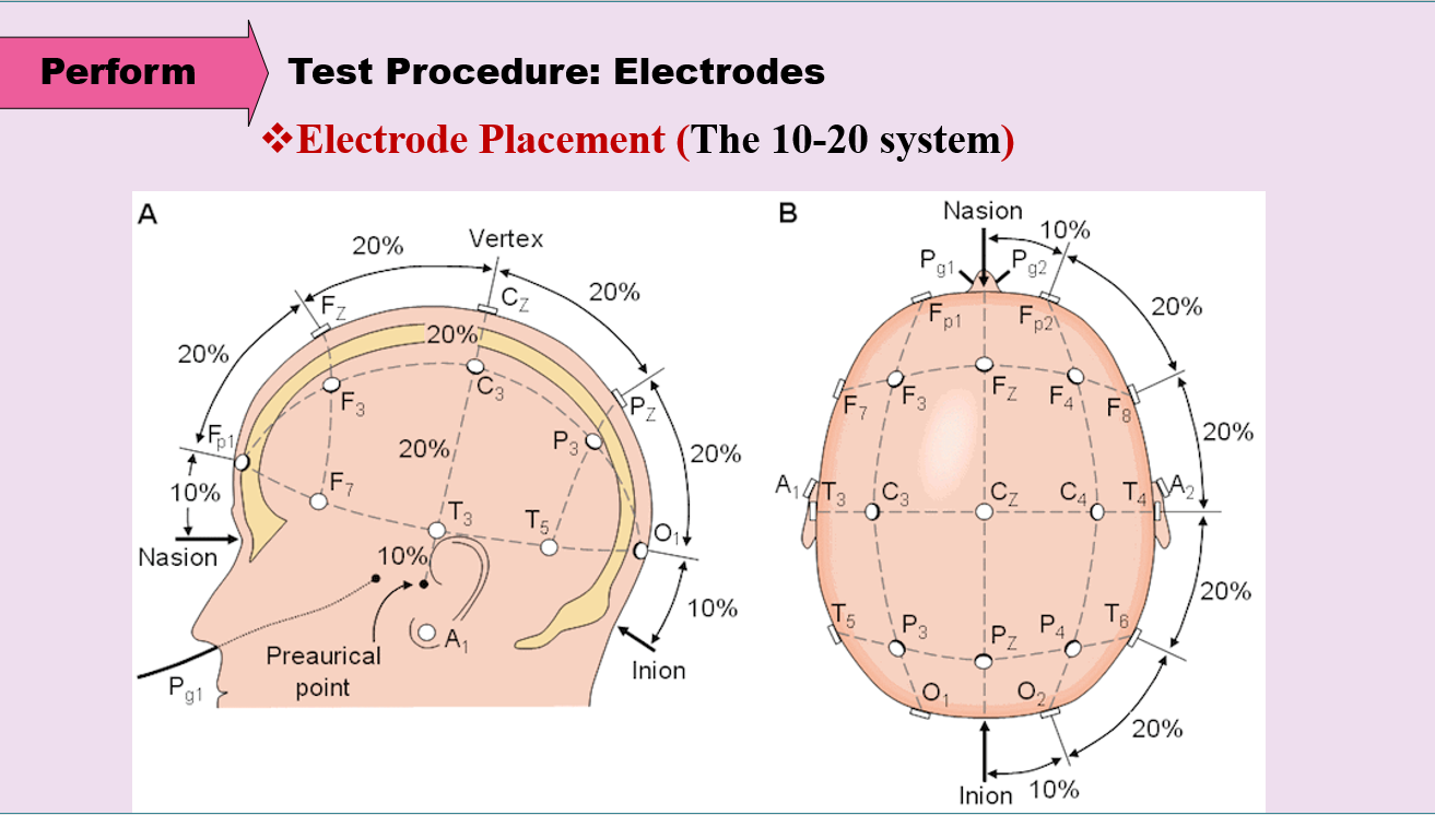 مغزنگاری الکتریکی (EEG) در پژوهش های زبان شناختی: طراحی آزمون، اجرا و گزارش نتایج