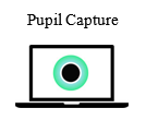 Pupil Capture