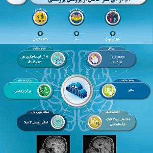 دیتاست‌های بیوبانک نقشه‌برداری مغز ایران-119