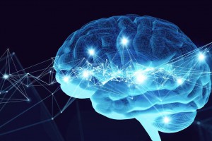 فعالیت مغز در هنگام ترجمه : مروری بر شواهد تصویربرداری مغزی به‌عنوان زمینۀ ارزیابی فرضیه‌های بالینی 