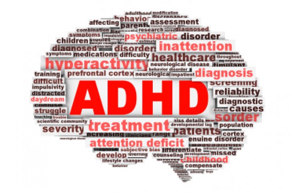 What are the differences between an ADHD brain and a neurotypical brain