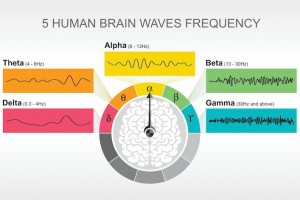 آلفا، بتا، تتا: امواج مغزی چیست؟ و آیا می توانیم آنها را کنترل کنیم؟