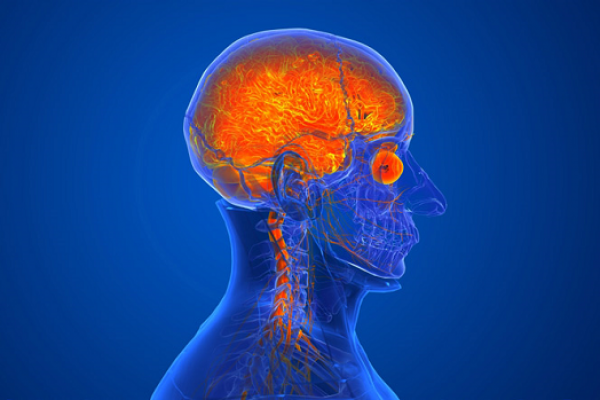  روش جدید تصویربرداری از مغز امکان تشخیص آسیب‌های مغزی خفیف را فراهم می‌کند