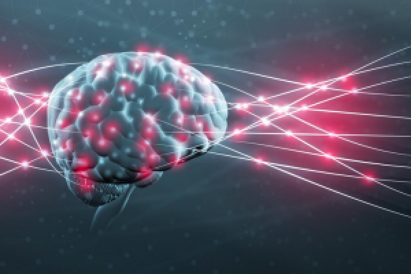 نورون‌های مربوط به عادات بد شناسایی شدند