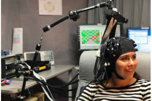تشخیص وزوز گوش به کمک رایانه بر اساس تحلیل شبکه مغزی با استفاده از سیگنال EEG