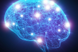 محققان موفق شدند راز کدگذاری گفتار در مغز را پیدا کنند