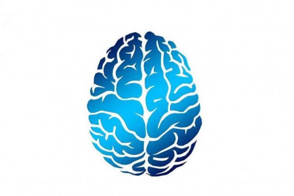 TMS چه تاثیری بر مغز دارد؟