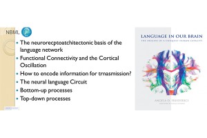 گزارش نشست شبکه عملکردی زبان (کتاب زبان در مغز ما فردریچی، ۲۰۱۷)