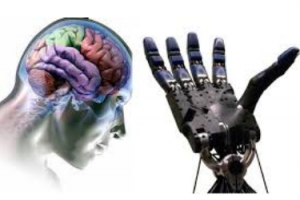 حمایت ستاد علوم شناختی از اجرای پروژه‌های طراحی مدارهای واسط مغز و ماشین برای توانبخشی بیماران