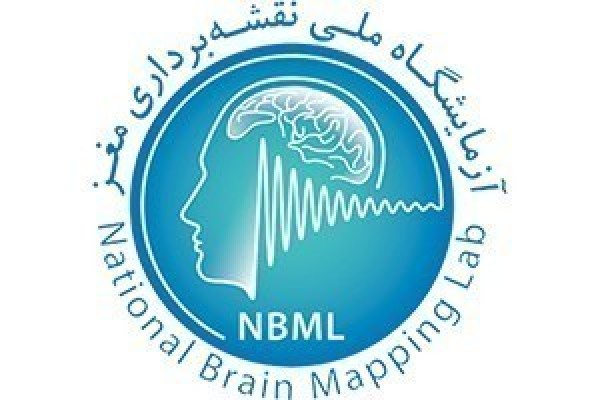The Archives of Publications from the National Brain Mapping Laboratory Were Created.