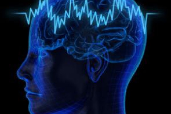 چگونگی پردازش سیگنال های شنوایی در مغز  