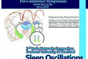 The National Brain Mapping Laboratory, Supports the 2nd Brain Networks Symposium; Sleep Oscillations