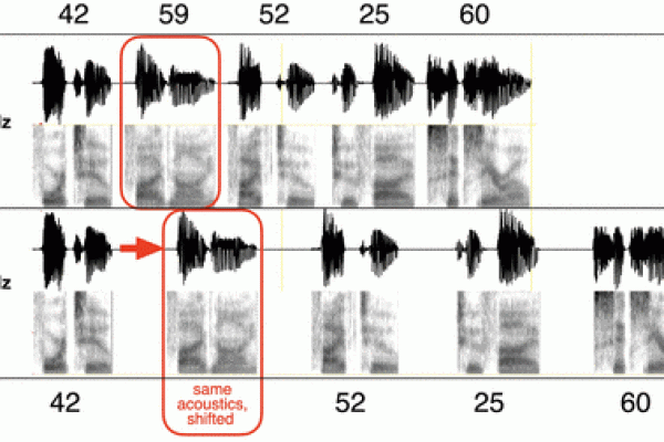 نوسان‌های دلتای قشری ناشی از محرک‌های صوت‌شناختی، تقطیع نوایی را پشتیبانی می‌کنند.