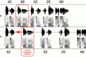   Acoustically Driven Cortical δ Oscillations Underpin Prosodic Chunking | eNeuro