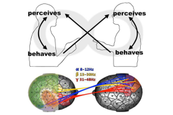 ارتباطات مغز با مغز  از طریق ثبت همزمان نوروالکتریک