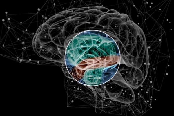 Neurological brain markers might detect risk for psychotic disorders