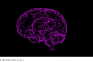 شبکه‌ی پشتیبانی مغز ممکن است نقش کلیدی در کمبود توجه و بیش‌فعالی داشته باشد