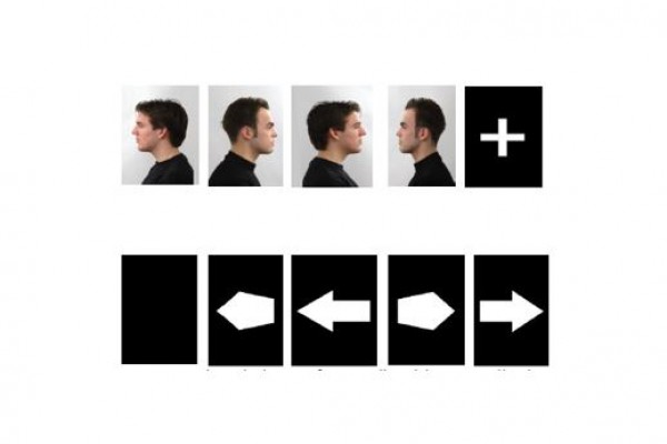 Intermediating the Effect of Inter-Stimuli Interval in Repetition Suppression of Face Images among Adults with High and Low Levels of Autistic-Like Traits