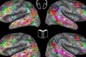A map of the brain could help to guess what you’re reading