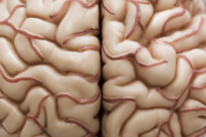پیش‌بینی روان‌پریشی: چین و شکن‌های مغزی کلید حل این مشکل!