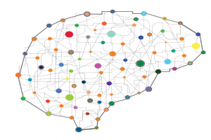 دستکاری شبکه‌ی مغزی به منظور تغییر عملکرد شناختی؛ پیشرفتی شگرف در علوم اعصاب