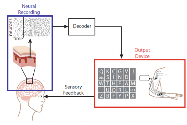 رنسانس تکنولوژی؛ تحولی در سامانه های رابط مغز و رایانه (BCI)