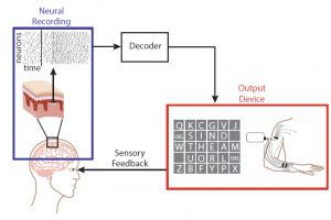 Renaissance in technology; An evolution in brain-computer interface (BCI) systems