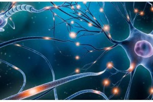 کشف رازهای عصبی فیبرومیالژیا