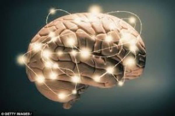 New Mechanism to Control Information Flow in the Brain
