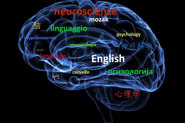 The Impact of Bilingualism on Prospective memory