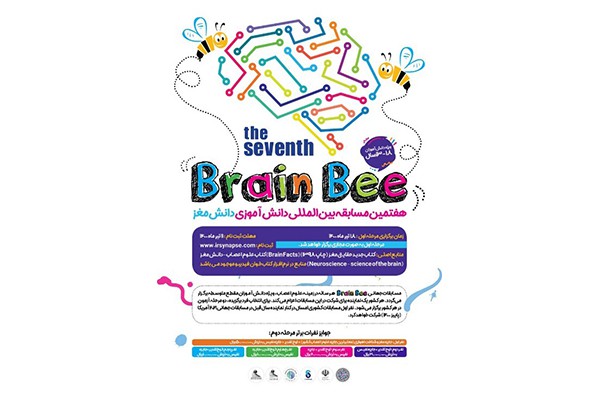 هفتمین دوره مسابقات دانش آموزی «دانش مغز» تیر ماه امسال برگزار می‌شود