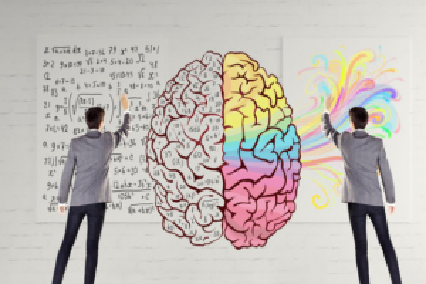What's the Difference Between the Right Brain and Left Brain?