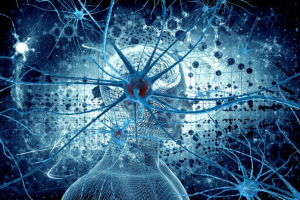 مطالعه‌ای جدید به نورون های مصنوعی این امکان را می دهد تا از طریق وب ارتباط برقرار کنند