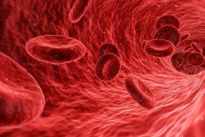 Blood Iron Levels Could Be Key to Slowing Aging
