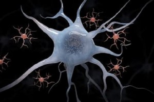 دانشمندان راه جدیدی برای درمان بیماری آلزایمر پیدا کردند