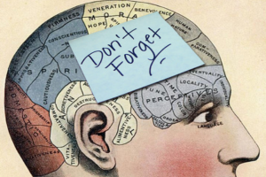 How the brain beats distractions to retain memories