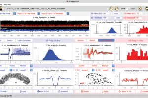 P-sort: an open-source software for cerebellar neurophysiology