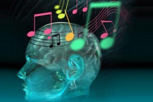 طبق نتایج یک مطالعه‌ی نوروایمیجینگ، نواختن آلات موسیقی، اتصالات حرکتی- شنیداری را تقویت می‌کند