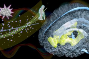 نشانگر زیستی جدید برای پیری مغز