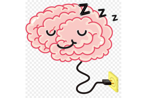 خواب REM آژیر مغز را خاموش می‌کند!