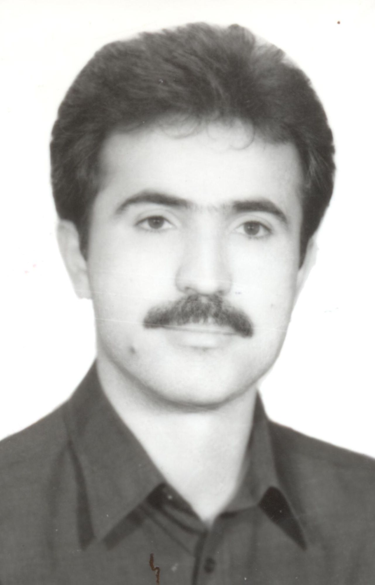 محمدرضا  عرب 