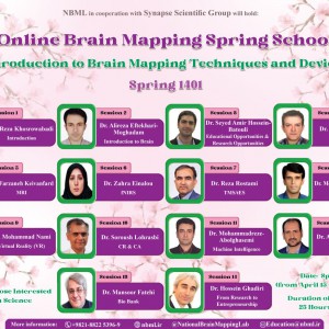Brain Mapping Spring School 