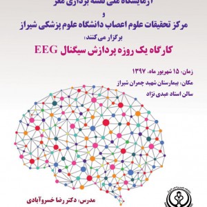 کارگاه یک روزه پردازش سیگنال های مغزی- ویژه مدرسه تابستانه شیراز
