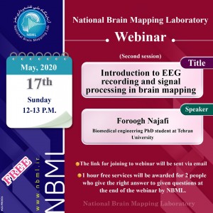 Basics of EEG recording and signal processing in brain mapping
