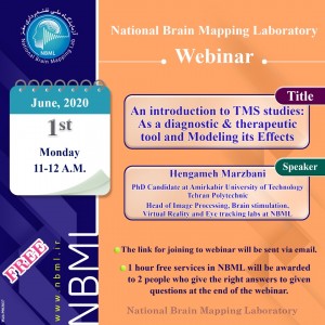  An introduction to TMS studies: As a diagnostic & therapeutic tool and Modeling its Effects