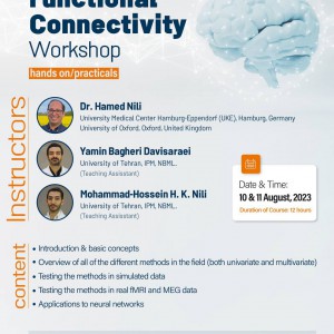 2-Day Functional Connectivity Workshop