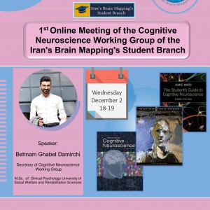 Introducing Cognitive Neuroscience Working Group of IBMS