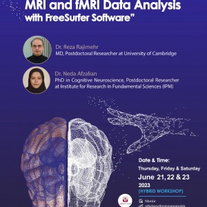 3-Day Workshop on MRI and fMRI data analysis in Freesurfer (Hybrid Workshop)